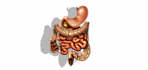 Lee más sobre el artículo Estreñimiento y Colitis, Consejos para remediarlo.