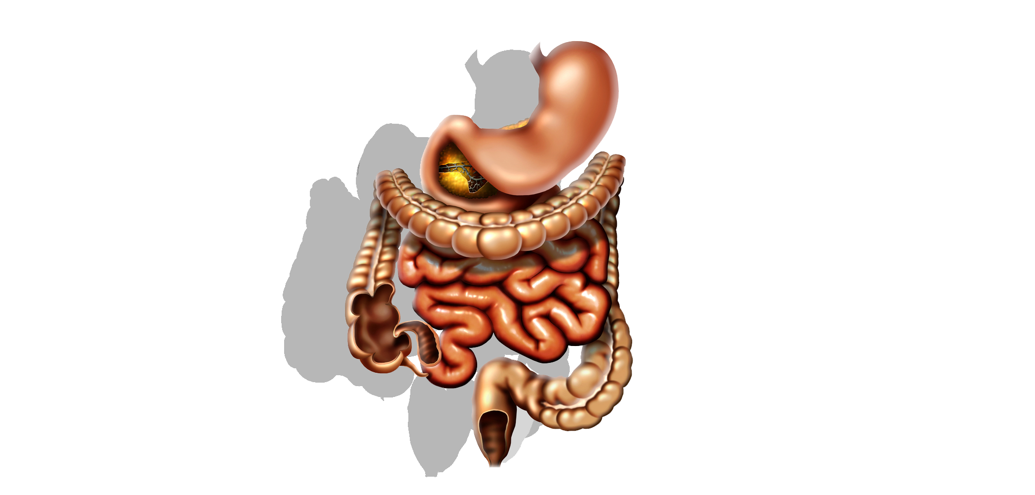 En este momento estás viendo Estreñimiento y Colitis, Consejos para remediarlo.