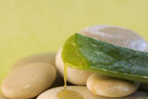 Lee más sobre el artículo 10 beneficios de tomar aloe vera