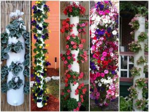 Lee más sobre el artículo Jardines verticales con tubos de PVC