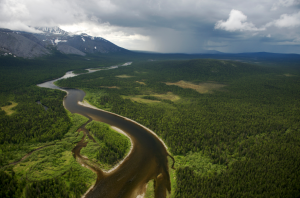 Lee más sobre el artículo LOS 9 BOSQUES MÁS INCREÍBLES DEL PLANETA