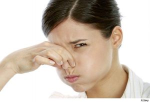 Lee más sobre el artículo ¿Sabías que estos factores pueden generar mal olor en tu cuerpo?