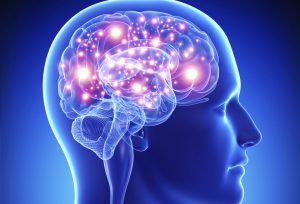 Lee más sobre el artículo 13 Misterios del cerebro humano