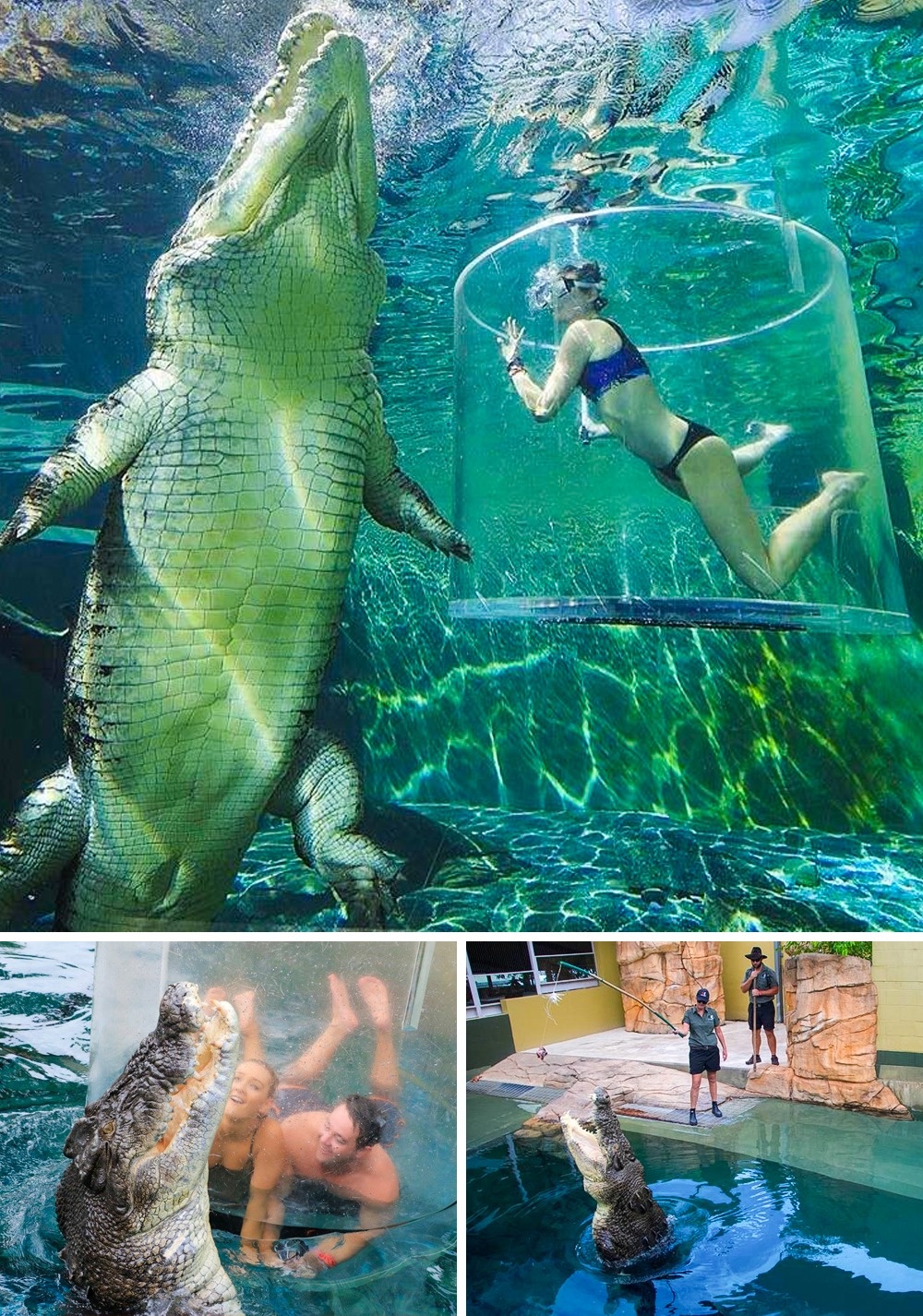 En este momento estás viendo 11 Piscinas en las que nadar es toda una aventura