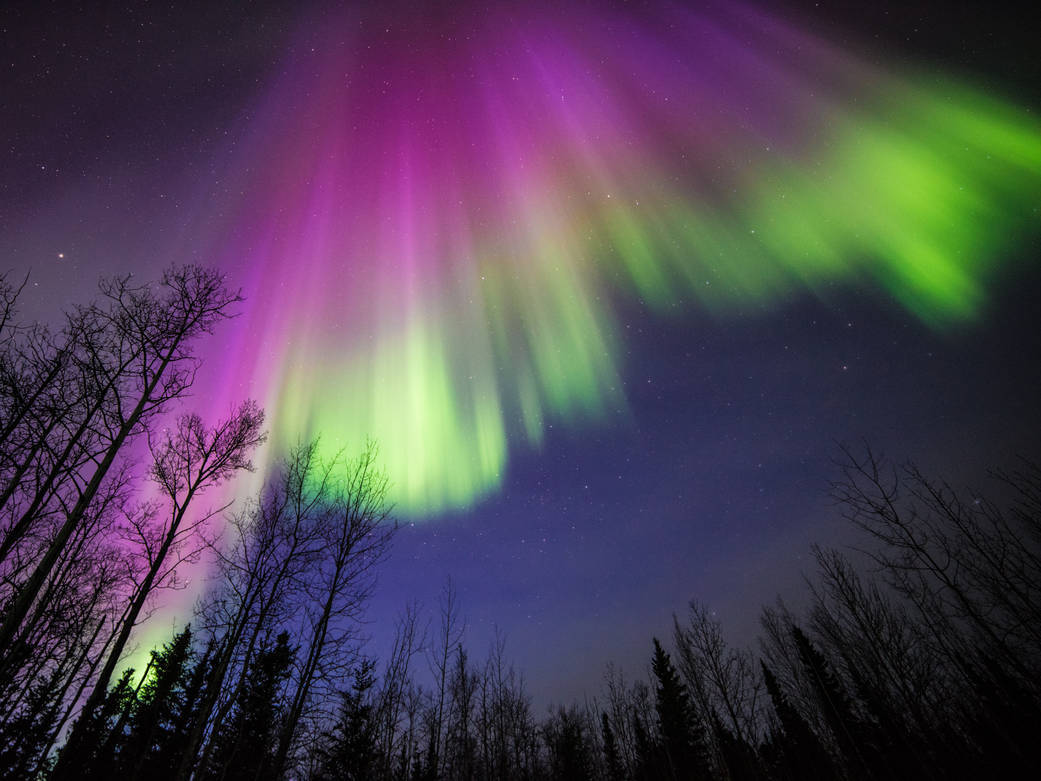 En este momento estás viendo Impresionantes auroras en la Tierra y el espacio