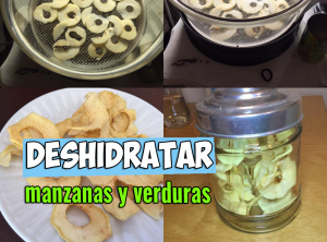 Lee más sobre el artículo Como deshidratar manzanas y verduras