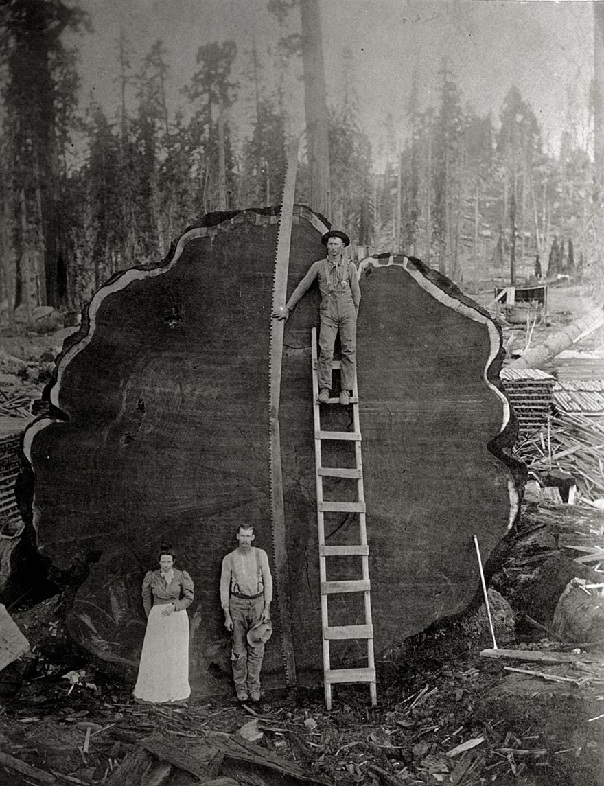 En este momento estás viendo 25 Fotos fascinantes de los archivos de National Geographic que NUNCA fueron publicadas