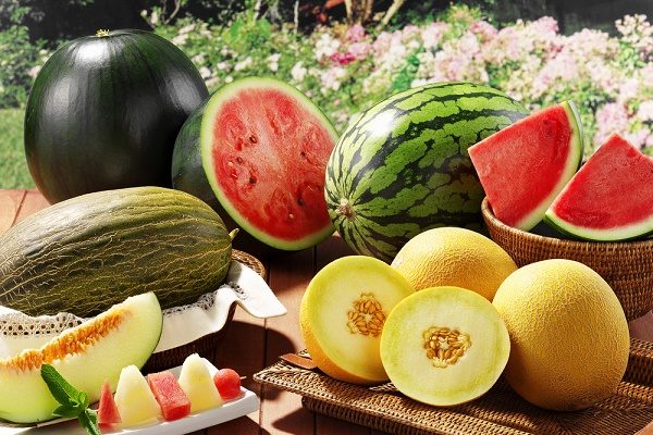 En este momento estás viendo Las 5 mejores frutas para adelgazar