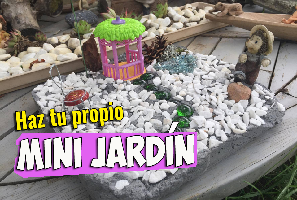 En este momento estás viendo Como hacer un Mini Jardín