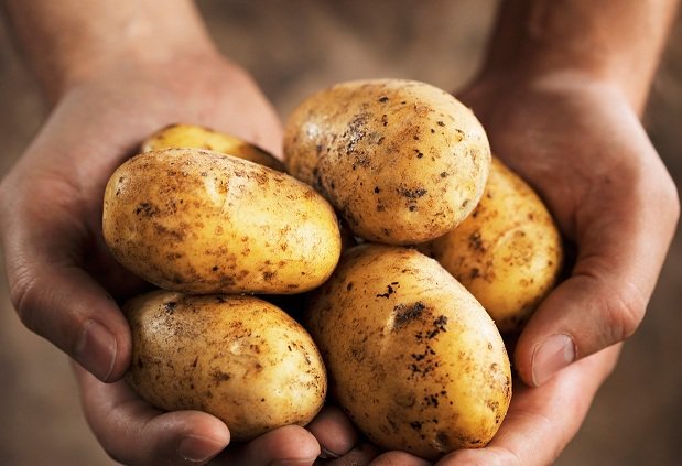 En este momento estás viendo 10 Alimentos descubiertos en América