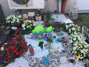 Lee más sobre el artículo Haz tu Jardín de Hadas. Fairy garden DIY. EcoDaisy