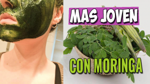 Lee más sobre el artículo Rejuvenece con moringa