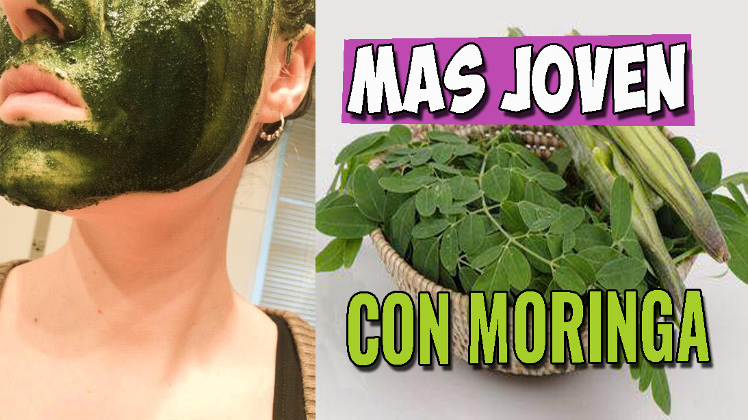 En este momento estás viendo Rejuvenece con moringa