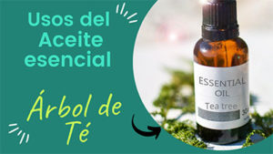 Lee más sobre el artículo Usos del aceite esencial del árbol de té